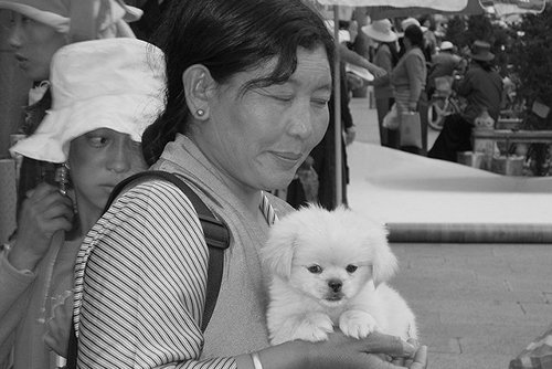 Back to the mother tongue